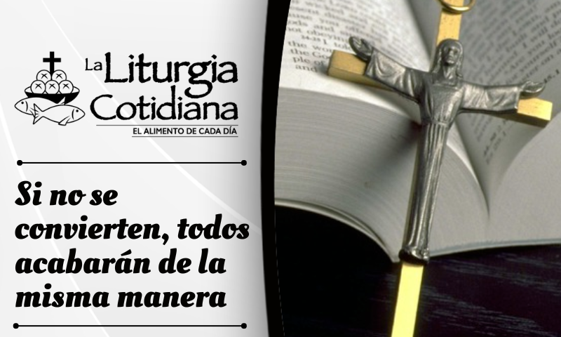 LITURGIA COTIDIANA 22 DE OCTUBRE: De la feria. Verde.San Juan Pablo II, pa. (ML). Blanco. Santa María en Sábado. Blanco.