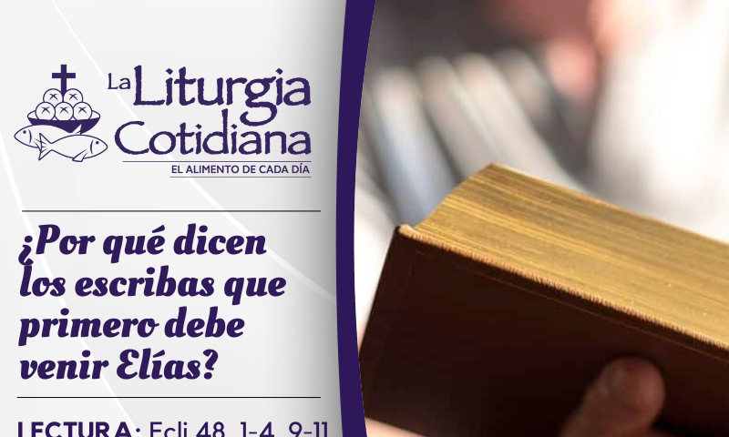 LITURGIA COTIDIANA 10 DE DICIEMBRE: De la feria. Morado.