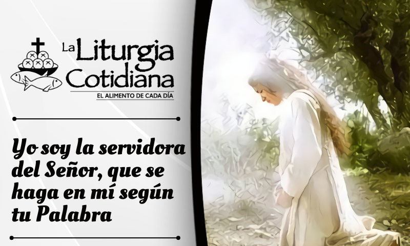 LITURGIA COTIDIANA 8 DE DICIEMBRE: LA INMACULADA CONCEPCIÓN DE LA SANTÍSIMA VIRGEN MARÍA (S). Blanco.