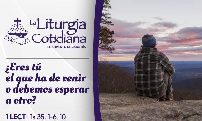 LITURGIA COTIDIANA 11 DE DICIEMBRE: 3° de Adviento. Morado o rosado.