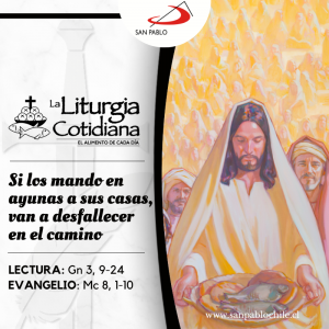 LITURGIA COTIDIANA 11 DE FEBRERO: Nuestra Señora de Lourdes (MO). Blanco. 