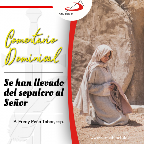 COMENTARIO DOMINICAL: Se han llevado del sepulcro al Señor