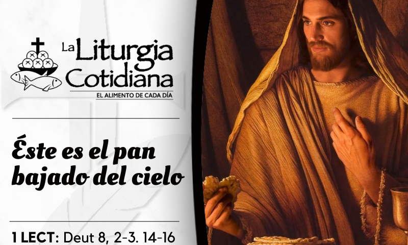 LITURGIA COTIDIANA 11 DE JUNIO: EL SANTÍSIMO CUERPO Y SANGRE DE CRISTO. Blanco.