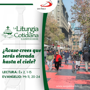 LITURGIA COTIDIANA 18 DE JULIO: De la feria. Verde.