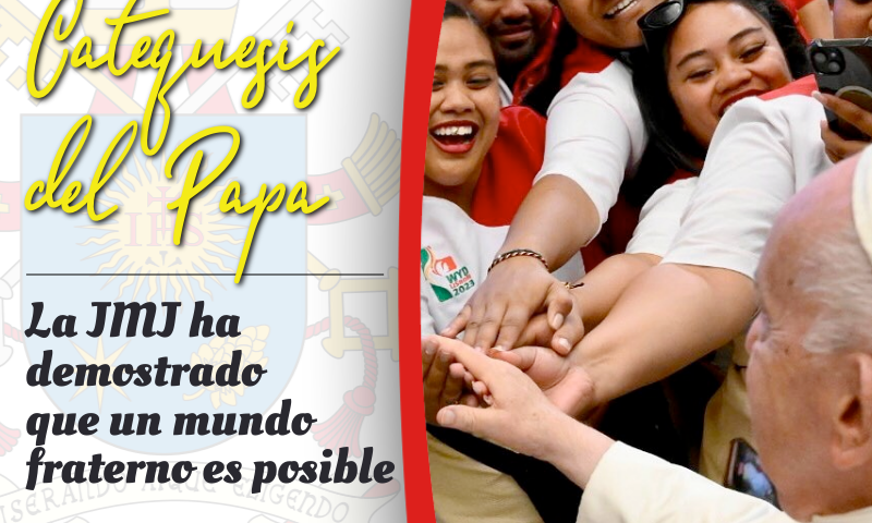 CATEQUESIS DEL PAPA: La JMJ ha demostrado que un mundo fraterno es posible