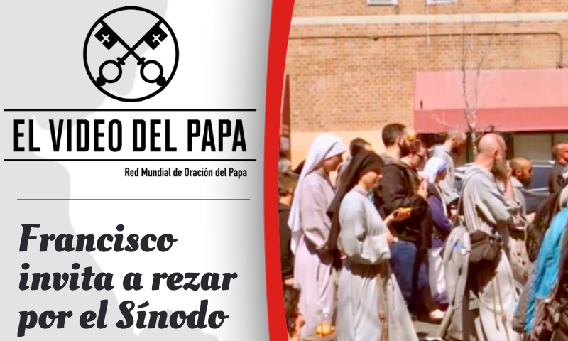 VIDEO DEL PAPA: Francisco invita a rezar por el Sínodo