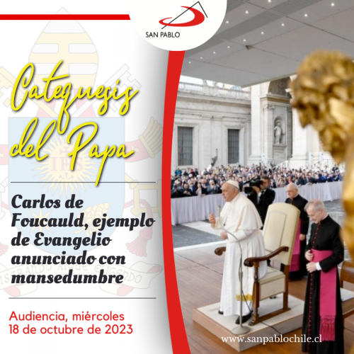 CATEQUESIS DEL PAPA: Carlos de Foucauld, ejemplo de Evangelio anunciado con mansedumbre