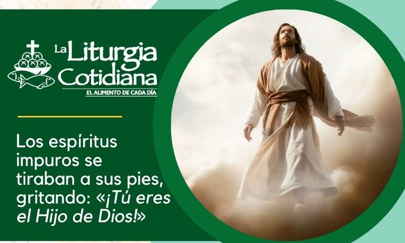 LITURGIA COTIDIANA 18 DE ENERO: De la feria. Verde. Santa María Faustina de Kowalska (ML). Blanco.