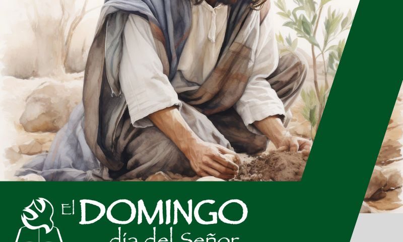 El Domingo, día del Señor: 11º durante el año (16 de junio de 2024)