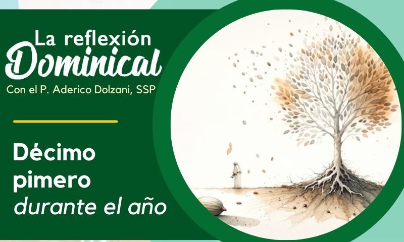 LA REFLEXIÓN DOMINICAL: 11º durante el año (16 de junio de 2024)