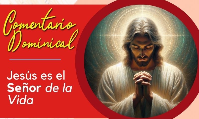 COMENTARIO DOMINICAL: "Jesús es el Señor de la Vida"