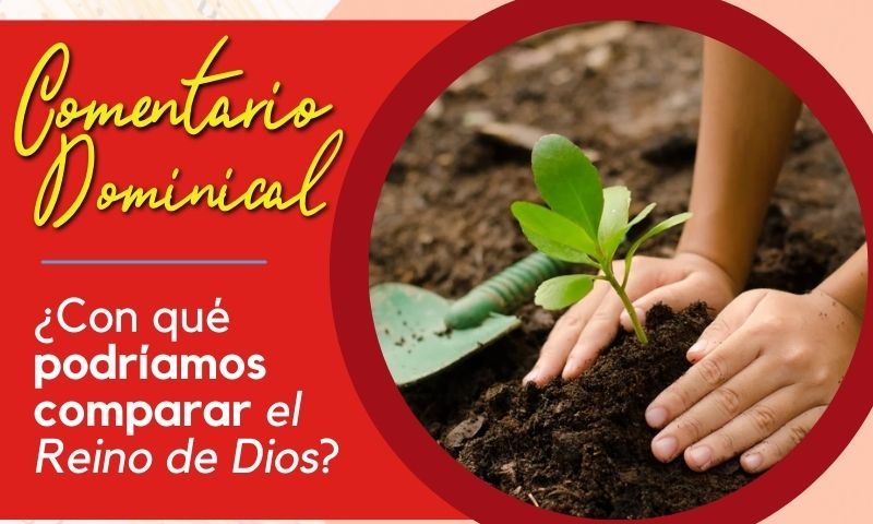 COMENTARIO DOMINICAL: ¿Con qué podríamos comparar el Reino de Dios?