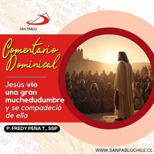 COMENTARIO DOMINICAL: Jesús vio una gran muchedumbre y se compadeció de ella