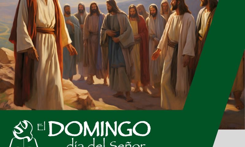 El Domingo, día del Señor: 15º durante el año (14 de julio de 2024)