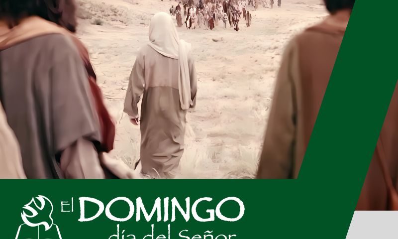 El Domingo, día del Señor: 16º durante el año (21 de julio de 2024)