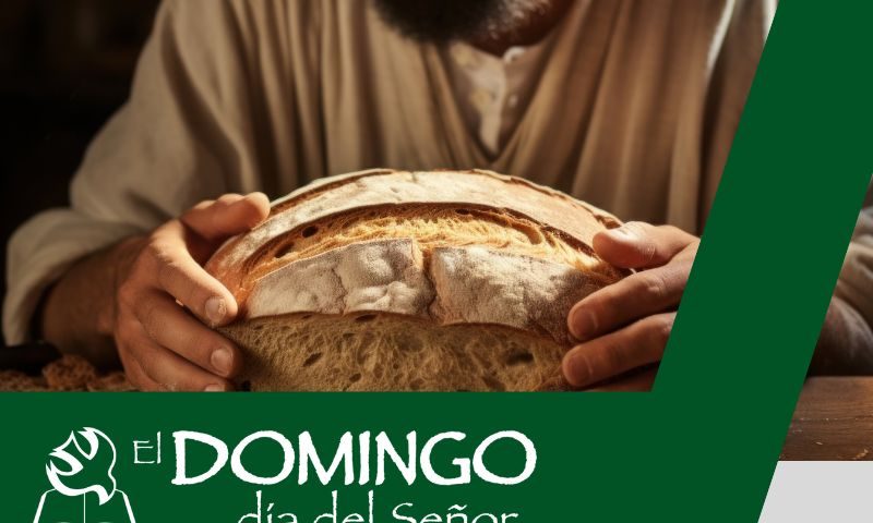 El Domingo, día del Señor: 18º durante el año (4 de agosto de 2024)