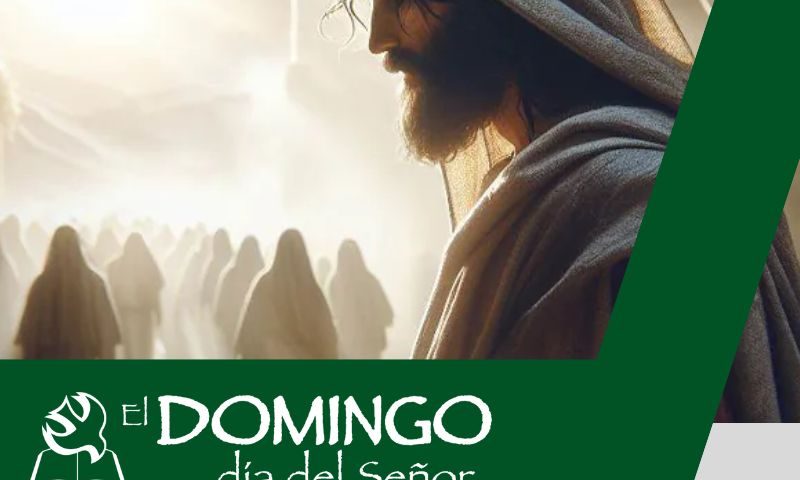 El Domingo, día del Señor: 14º durante el año (7 de julio de 2024)