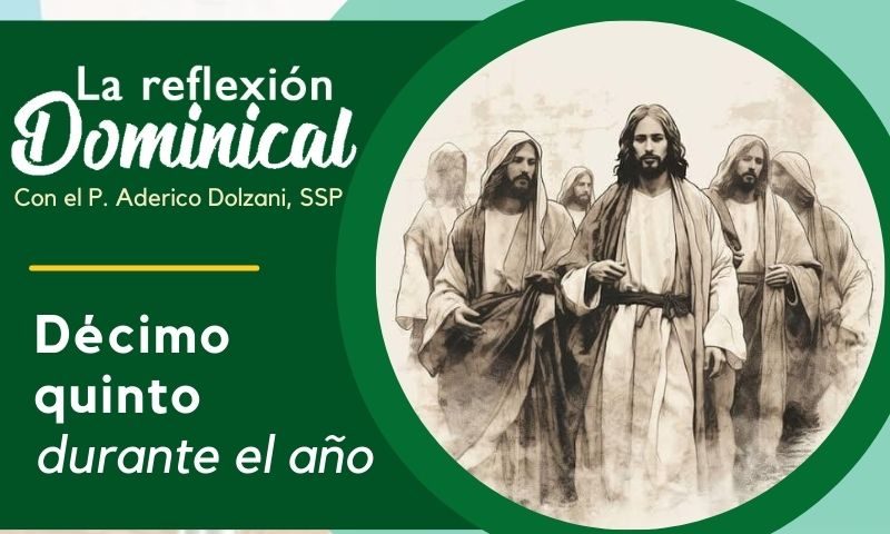 LA REFLEXIÓN DOMINICAL: 15º durante el año (14 de julio de 2024)