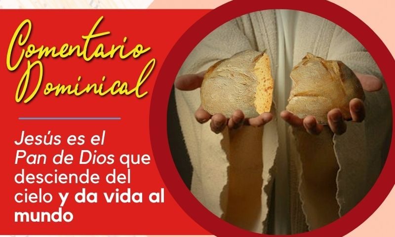 COMENTARIO DOMINICAL: Jesús es el Pan de Dios que desciende del cielo y da vida al mundo