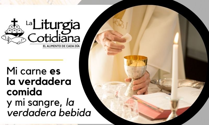 LITURGIA COTIDIANA 18 DE AGOSTO: San Alberto Hurtado (MO). Blanco.