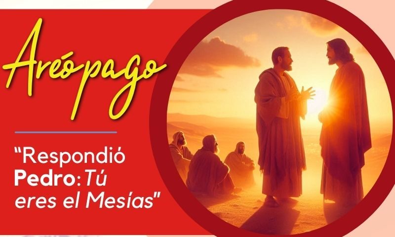 “Respondió Pedro: Tú eres el Mesías” (Mc 8, 29)