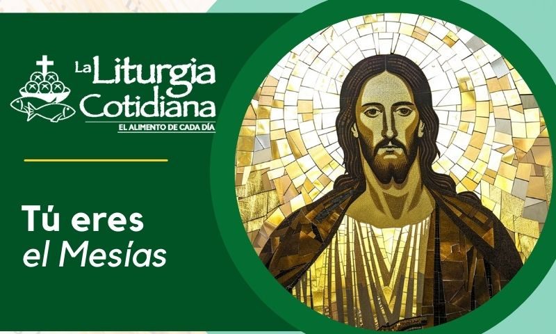 LITURGIA COTIDIANA 15 DE SEPTIEMBRE: 24º durante el año. Verde.