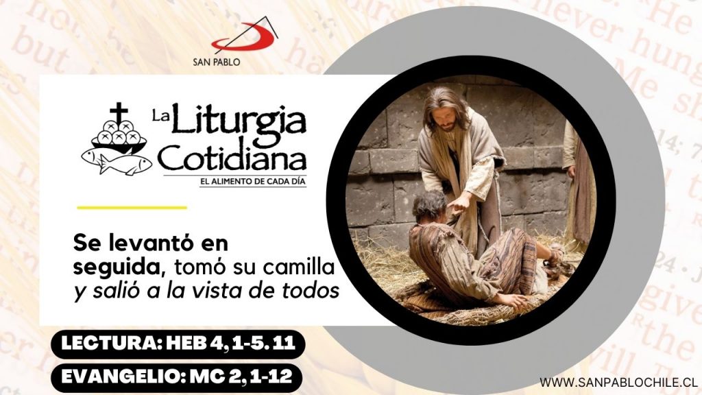 La Liturgia Cotidiana 17 de enero de 2025: San Antonio, abad. (MO). Blanco.