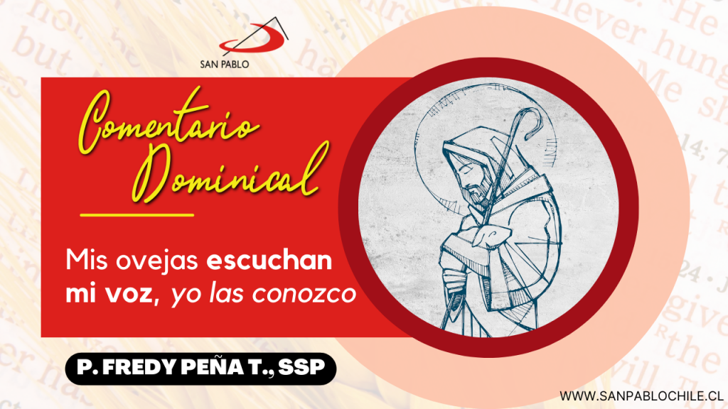 Comentario Dominical: Mis ovejas escuchan mi voz, yo las conozco
