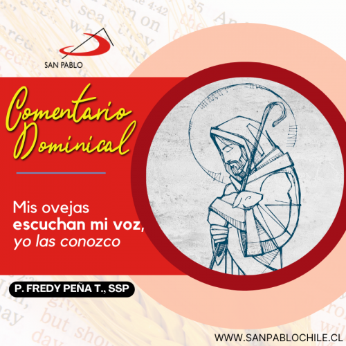 Comentario Dominical: Mis ovejas escuchan mi voz, yo las conozco