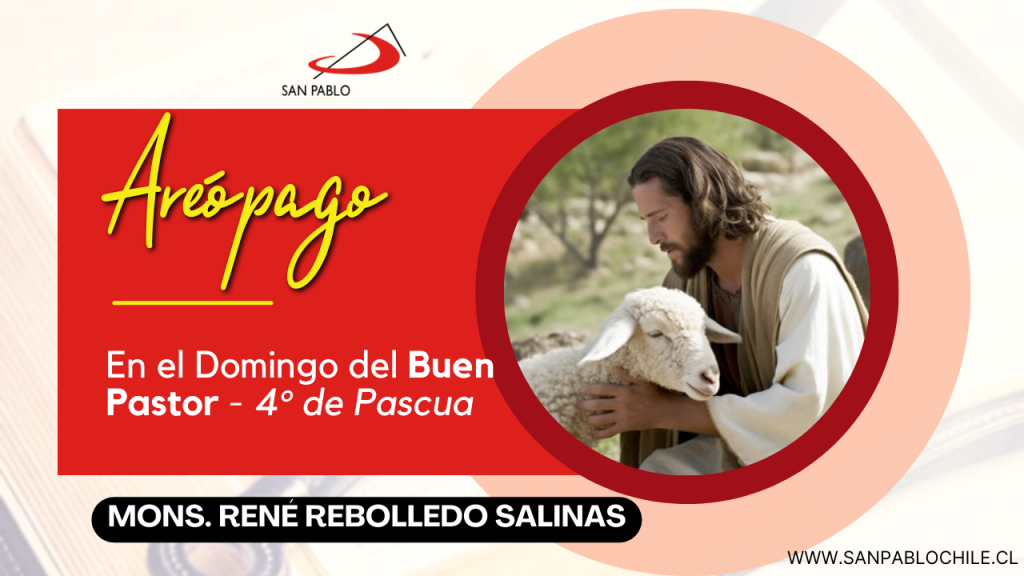 En el Domingo del Buen Pastor - 4° de Pascua