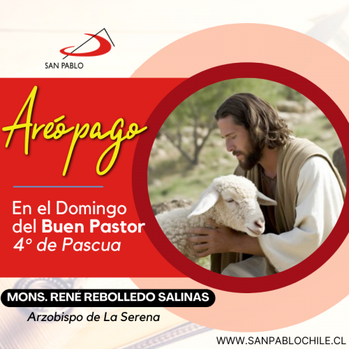 En el Domingo del Buen Pastor - 4° de Pascua
