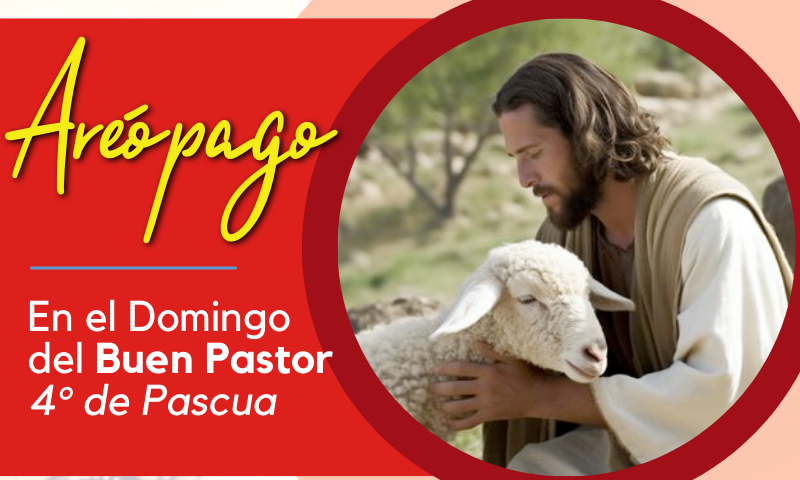 En el Domingo del Buen Pastor - 4° de Pascua