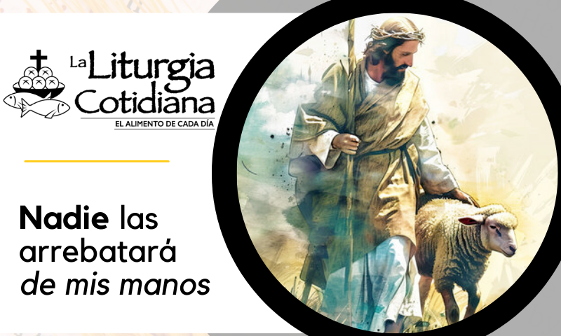 11 de mayo: 4º de Pascua. Blanco.